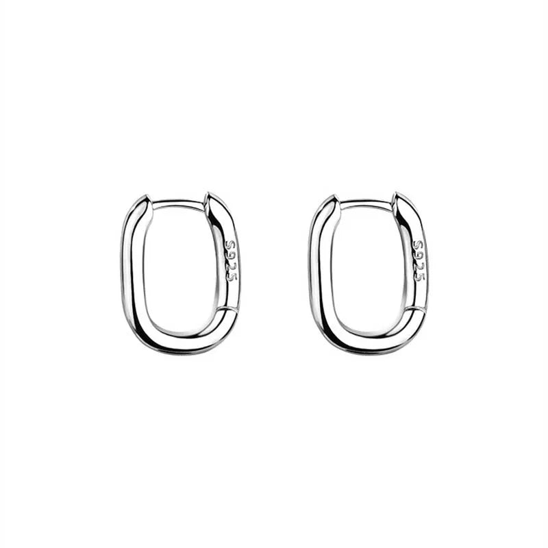 Chunky Hoop Earrings