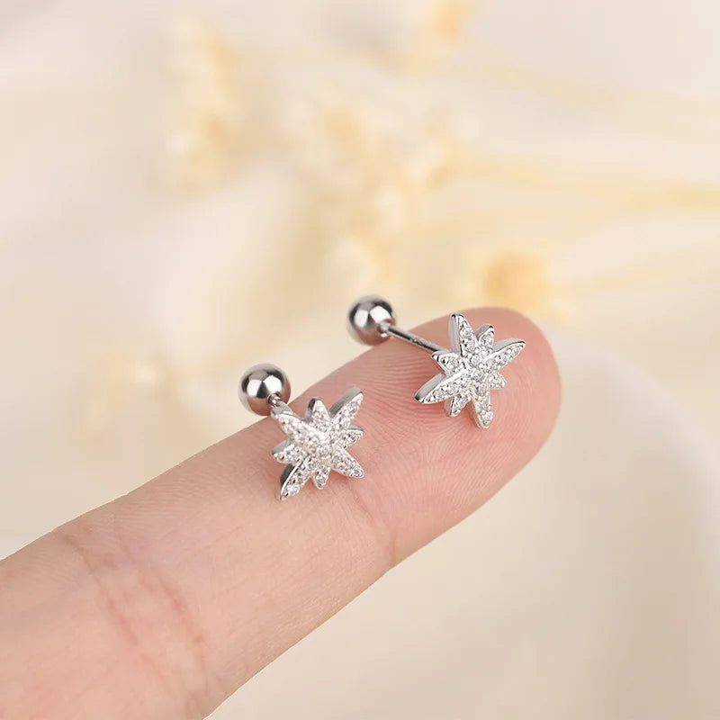 Luxury Crystal Round Stud Earrings